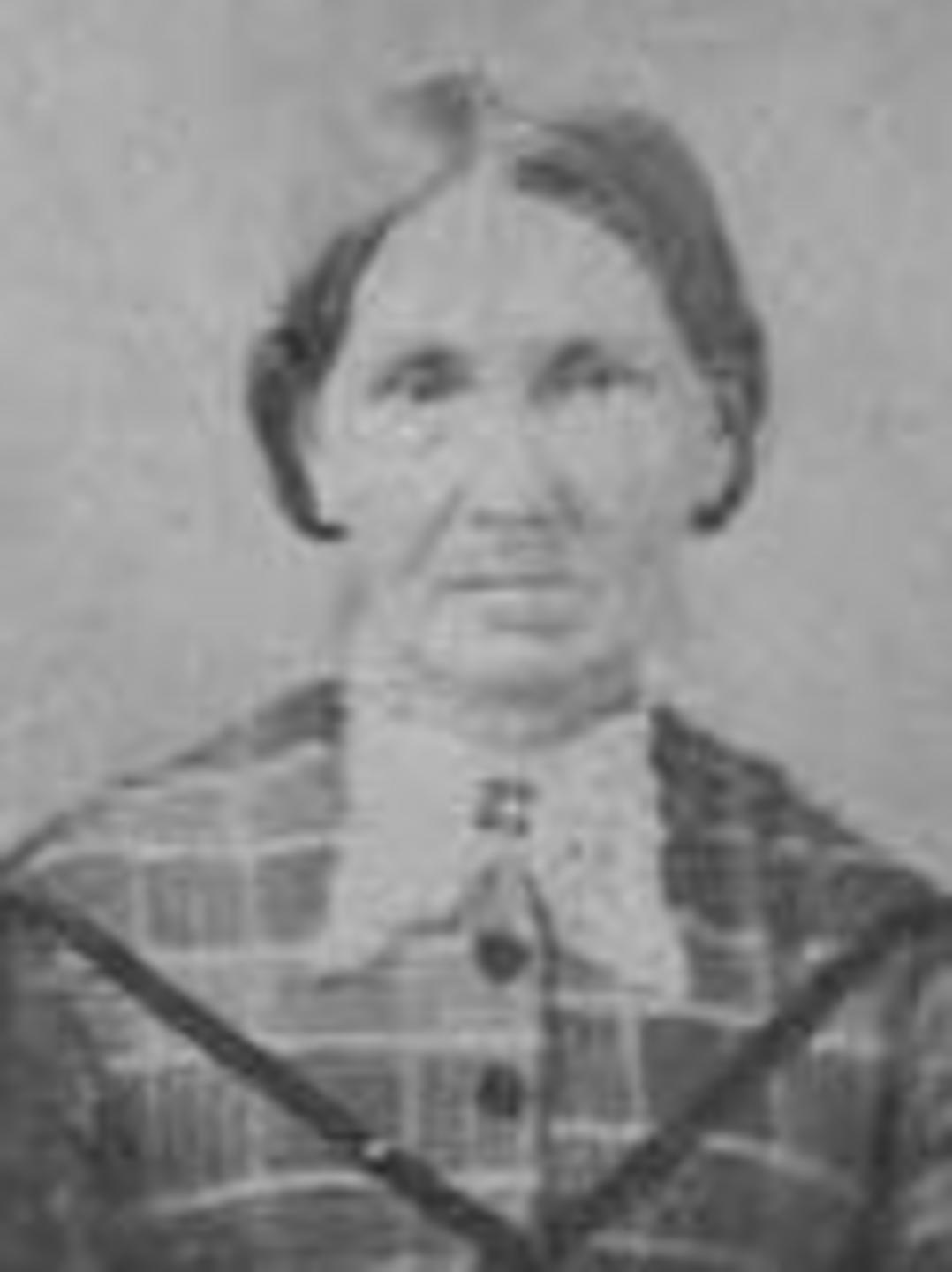 Ellen Nelson (1818 - 1886) Profile